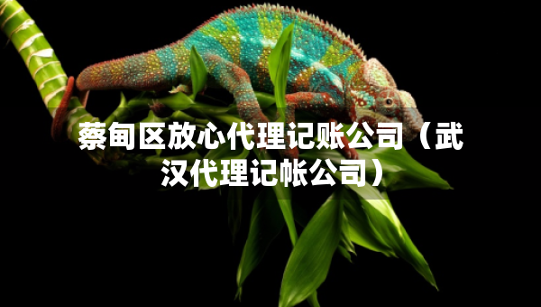 蔡甸區(qū)放心代理記賬公司（武漢代理記帳公司）