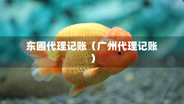 東圃代理記賬（廣州代理記賬）