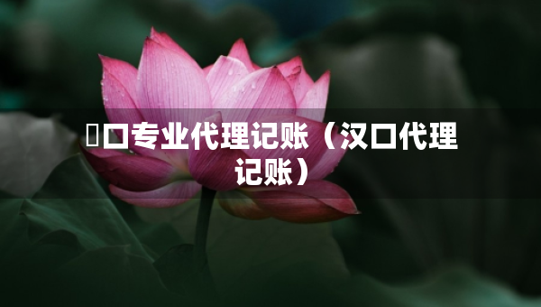硚口專業(yè)代理記賬（漢口代理記賬）