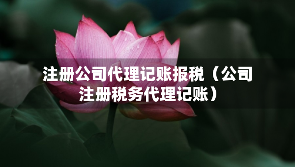 注冊公司代理記賬報(bào)稅（公司注冊稅務(wù)代理記賬）