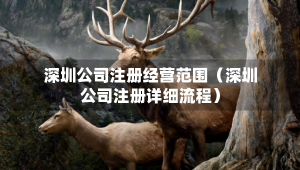 深圳公司注冊(cè)經(jīng)營(yíng)范圍（深圳公司注冊(cè)詳細(xì)流程）