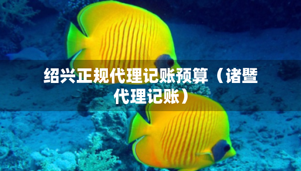 紹興正規(guī)代理記賬預(yù)算（諸暨代理記賬）