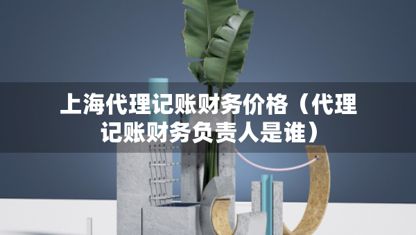 上海代理記賬財務(wù)價格（代理記賬財務(wù)負(fù)責(zé)人是誰）