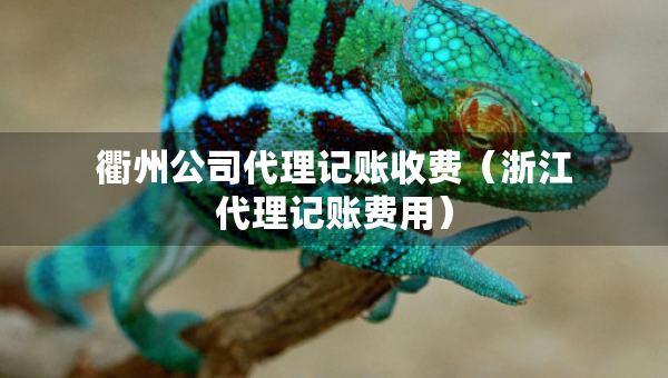 衢州公司代理記賬收費（浙江代理記賬費用）