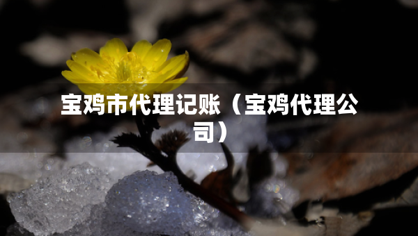 寶雞市代理記賬（寶雞代理公司）