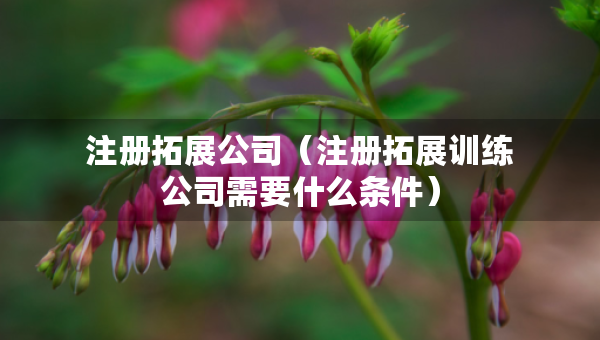 注冊拓展公司（注冊拓展訓練公司需要什么條件）