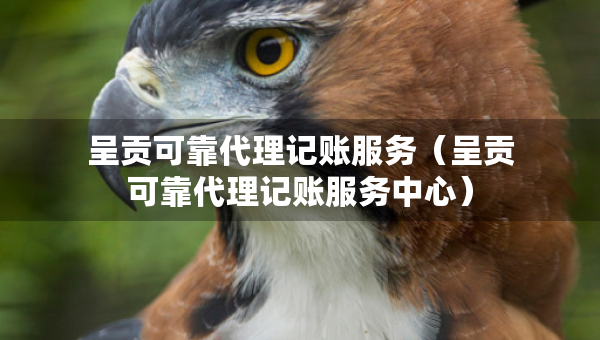 呈貢可靠代理記賬服務(wù)（呈貢可靠代理記賬服務(wù)中心）