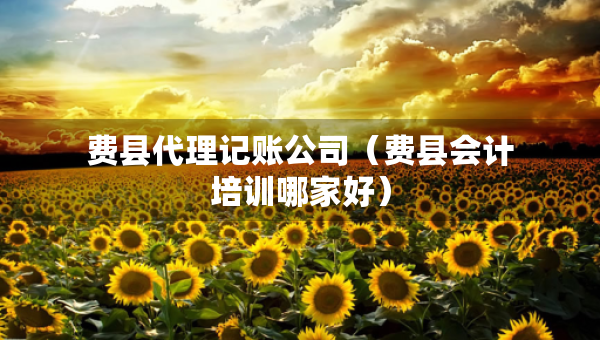 費縣代理記賬公司（費縣會計培訓(xùn)哪家好）