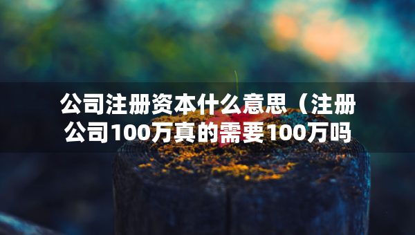 公司注冊資本什么意思（注冊公司100萬真的需要100萬嗎）