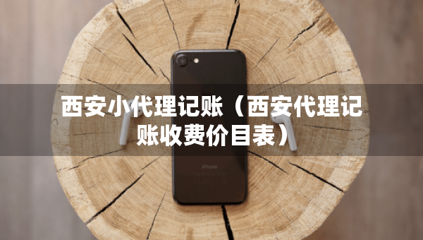 西安小代理記賬（西安代理記賬收費價目表）