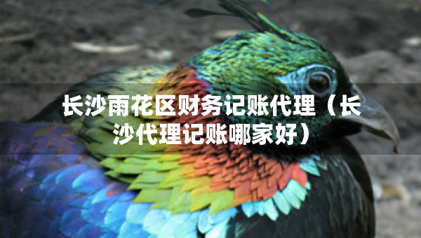 長沙雨花區(qū)財務(wù)記賬代理（長沙代理記賬哪家好）