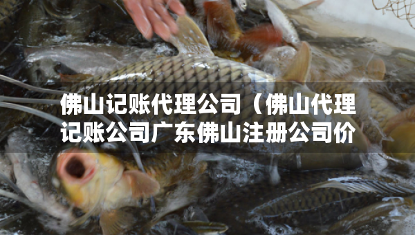 佛山記賬代理公司（佛山代理記賬公司廣東佛山注冊(cè)公司價(jià)格）