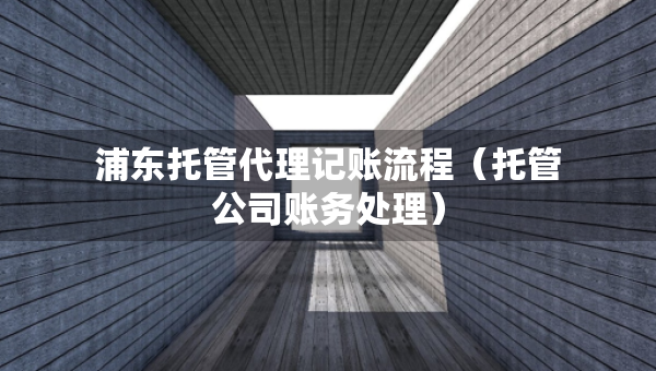 浦東托管代理記賬流程（托管公司賬務(wù)處理）