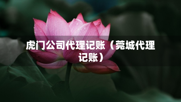 虎門公司代理記賬（莞城代理記賬）