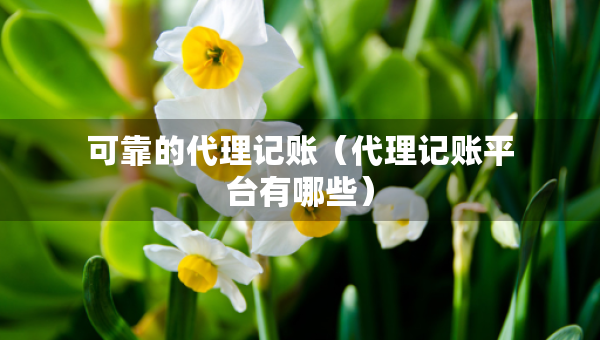 可靠的代理記賬（代理記賬平臺(tái)有哪些）