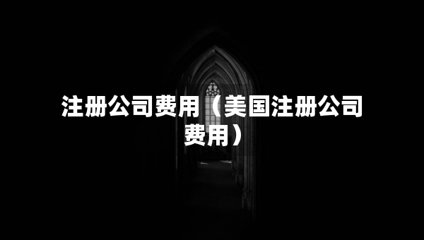 注冊(cè)公司費(fèi)用（美國(guó)注冊(cè)公司費(fèi)用）