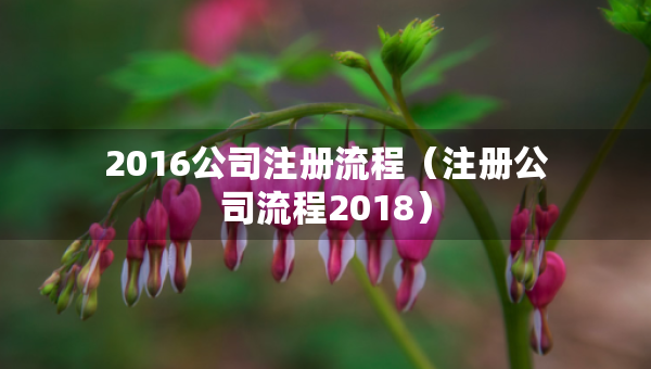 2016公司注冊(cè)流程（注冊(cè)公司流程2018）