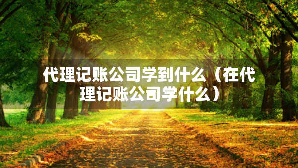 代理記賬公司學(xué)到什么（在代理記賬公司學(xué)什么）