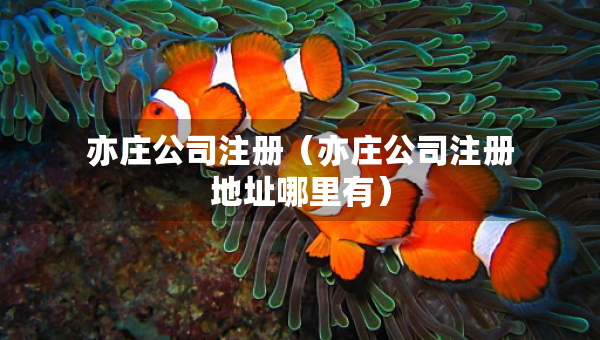 亦莊公司注冊（亦莊公司注冊地址哪里有）