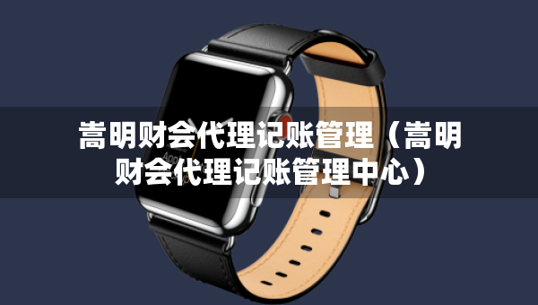 嵩明財會代理記賬管理（嵩明財會代理記賬管理中心）