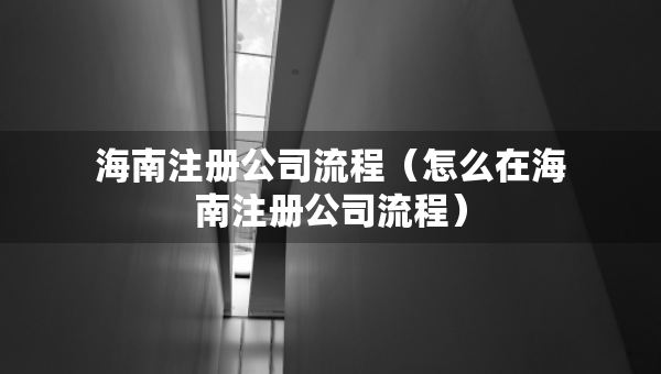 海南注冊(cè)公司流程（怎么在海南注冊(cè)公司流程）