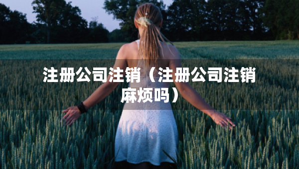 注冊公司注銷（注冊公司注銷麻煩嗎）
