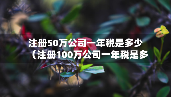 注冊(cè)50萬公司一年稅是多少（注冊(cè)100萬公司一年稅是多少）