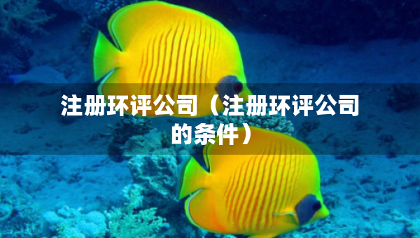 注冊(cè)環(huán)評(píng)公司（注冊(cè)環(huán)評(píng)公司的條件）