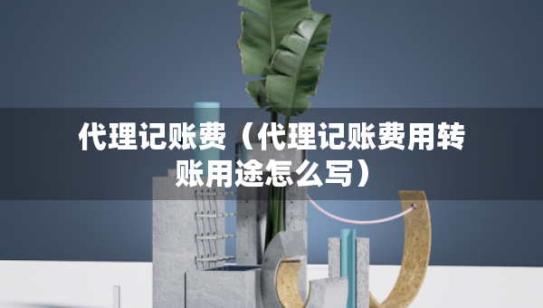 代理記賬費(fèi)（代理記賬費(fèi)用轉(zhuǎn)賬用途怎么寫）