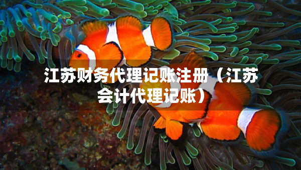江蘇財(cái)務(wù)代理記賬注冊(cè)（江蘇會(huì)計(jì)代理記賬）