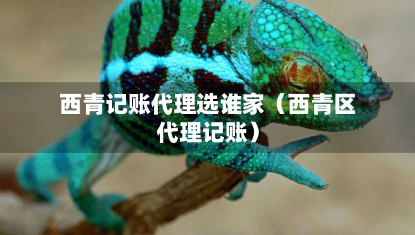 西青記賬代理選誰家（西青區(qū)代理記賬）