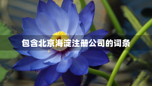 包含北京海淀注冊公司的詞條