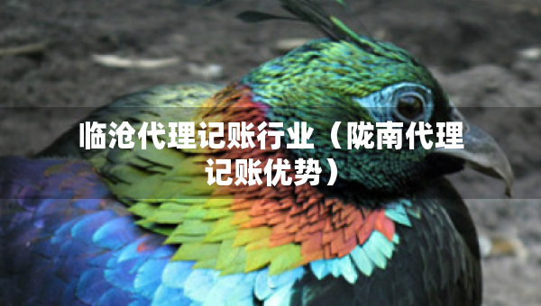 臨滄代理記賬行業(yè)（隴南代理記賬優(yōu)勢）
