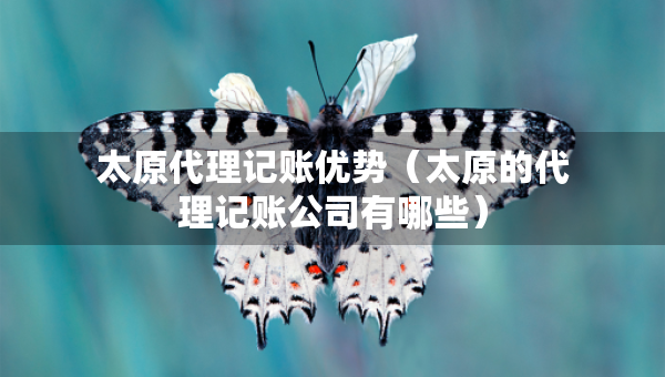 太原代理記賬優(yōu)勢（太原的代理記賬公司有哪些）