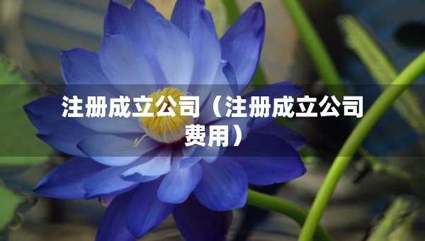 注冊成立公司（注冊成立公司費用）