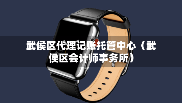 武侯區(qū)代理記賬托管中心（武侯區(qū)會計師事務所）