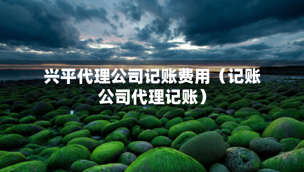興平代理公司記賬費用（記賬公司代理記賬）