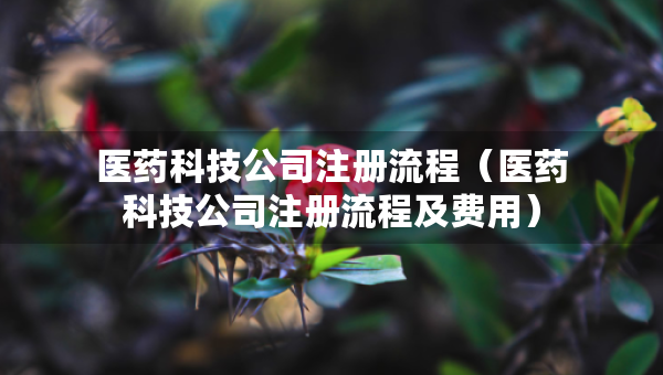 醫(yī)藥科技公司注冊流程（醫(yī)藥科技公司注冊流程及費用）