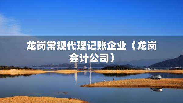 龍崗常規(guī)代理記賬企業(yè)（龍崗會(huì)計(jì)公司）