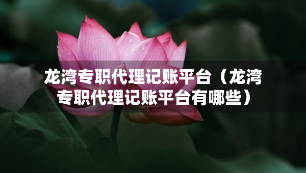 龍灣專職代理記賬平臺（龍灣專職代理記賬平臺有哪些）