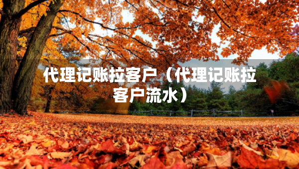 代理記賬拉客戶（代理記賬拉客戶流水）