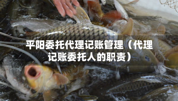 平陽委托代理記賬管理（代理記賬委托人的職責）