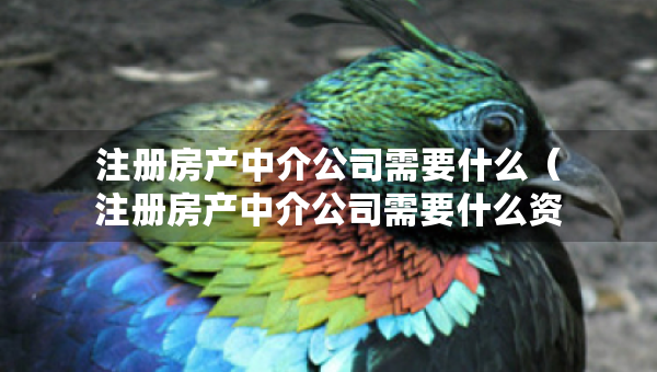 注冊房產(chǎn)中介公司需要什么（注冊房產(chǎn)中介公司需要什么資質(zhì)證書）