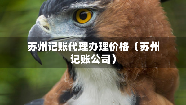 蘇州記賬代理辦理價格（蘇州記賬公司）