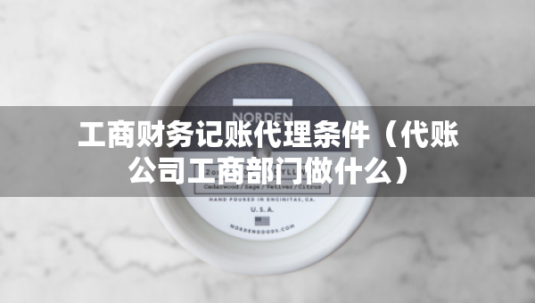 工商財務(wù)記賬代理條件（代賬公司工商部門做什么）