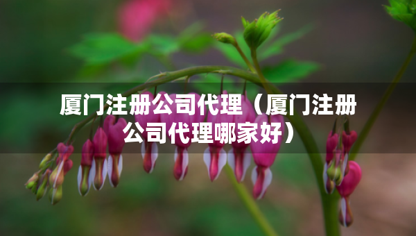 廈門注冊公司代理（廈門注冊公司代理哪家好）