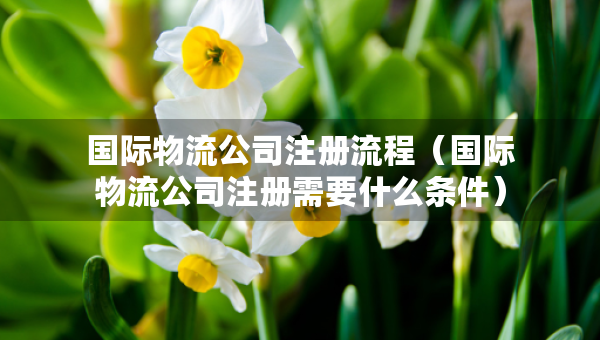 國(guó)際物流公司注冊(cè)流程（國(guó)際物流公司注冊(cè)需要什么條件）
