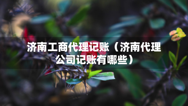 濟(jì)南工商代理記賬（濟(jì)南代理公司記賬有哪些）