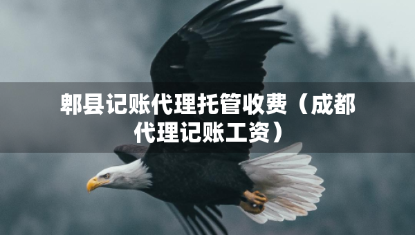 郫縣記賬代理托管收費(fèi)（成都代理記賬工資）