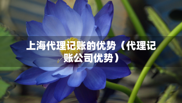 上海代理記賬的優(yōu)勢（代理記賬公司優(yōu)勢）